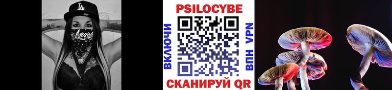 цены   Лобня  маркетплейс какой сайт  Псилоцибиновые грибы MAGIC MUSHROOMS 